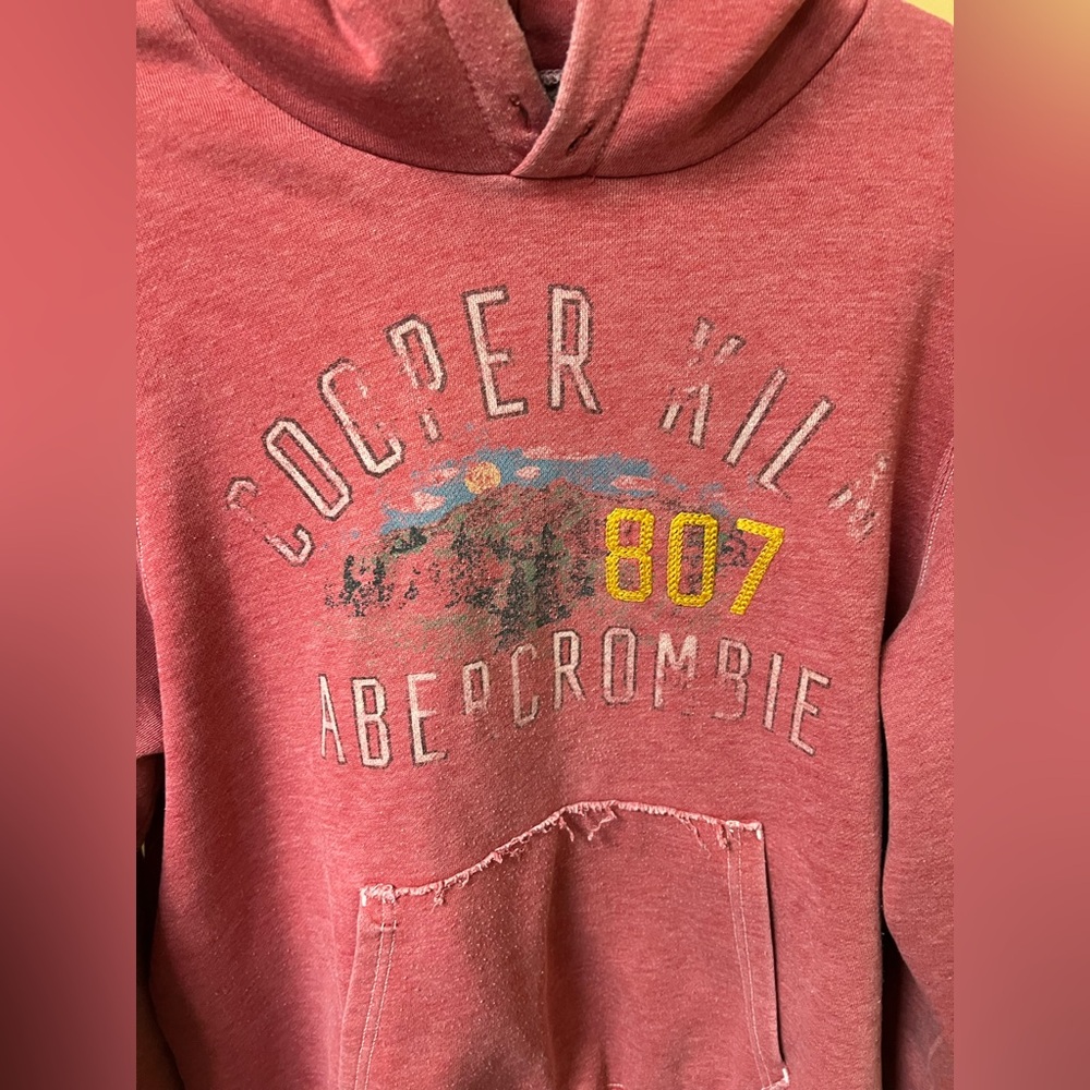 Abercrombie & Fitch Vintage Red Cooper Kiln Hoodie ASO Jessica Simpson - Picture 4 of 11